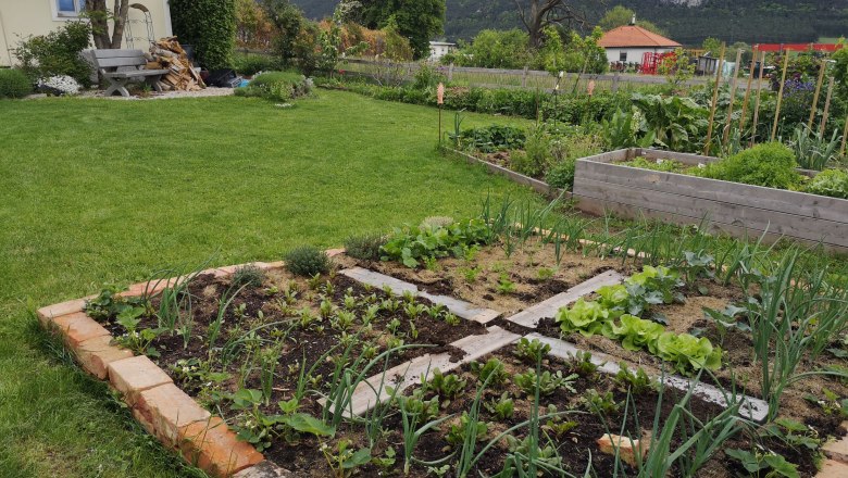 Gemüsebeet, © Natur im Garten