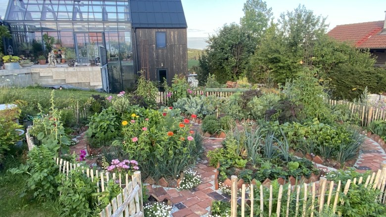 Blick auf die "Fernery" - das Glashaus im Ecolution.Lab, © Bernd Hochwartner