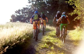 Mountainbiken in den Wiener Alpen, © ©Wiener Alpen, Foto: Thomas Bartl