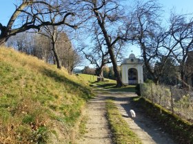 Kapelle Schafferhof in Edlitz | Bucklige Welt, © Wiener Alpen in Niederösterreich - Bad Schönau