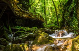 Die Johannesbach-Klamm, © Wiener Alpen, Christian Kremsl