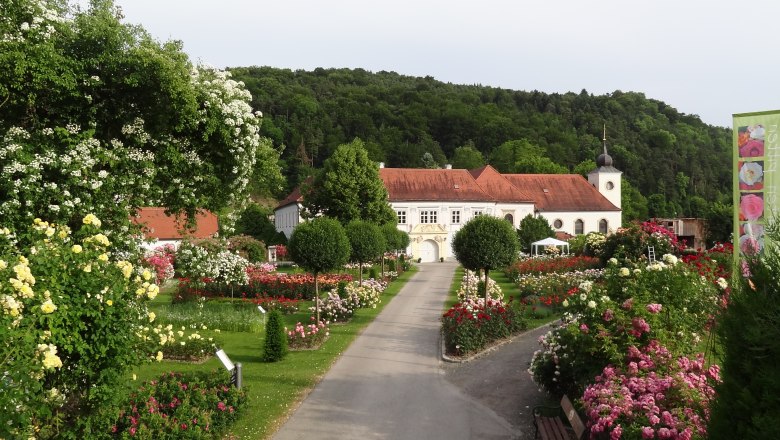 Rosengarten Pitten, © Theres Göschl