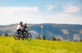 Panoramablick der Frauenalpe, © Wexl Trails