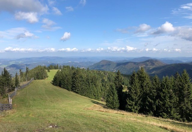 Wandern am Unterberg, © Heidi Peer