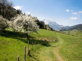 Grünbacher Sattel, © Wiener Alpen in Niederösterreich