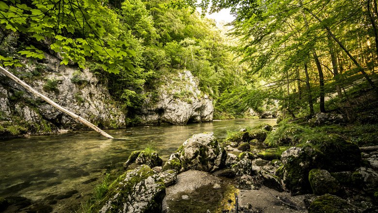 Am Fuße von Rax und Schneeberg entspringt quellfrisches Trinkwasser, das auch die Wiener Hochquellwasser, © Robert Herbst