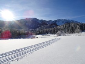 Panoramaloipe Puchberg, © Wiener Alpen in Niederösterreich - Schneeberg Hohe Wand