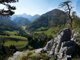 Nasswald, © ©Wiener Alpen, Foto: Franz Zwickl