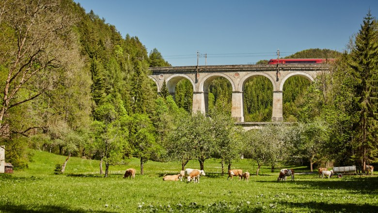 A Semmeringi vasút, © Niederösterreich-Werbung/Michael Liebert