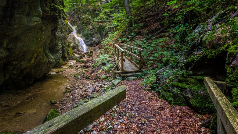 Waldegg - Dürrenbach, © Wiener Alpen, Christian Kremsl