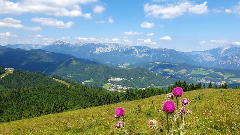 Panoramablick auf dem Sonnwendstein, © Irene Beckmann