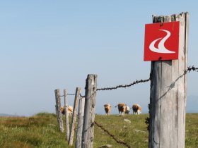 Alpannonia Markierung am Hochwechsel, Joglland-Waldheimat in der Oststeiermark, © Oststeiermark Tourismus