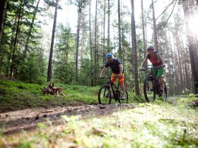 Mountainbiken in den Wiener Alpen, © ©Wiener Alpen, Foto: Thomas Bartl