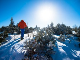 Schneeschuhwandern, © ©Wiener Alpen, Foto: Claudia Ziegler