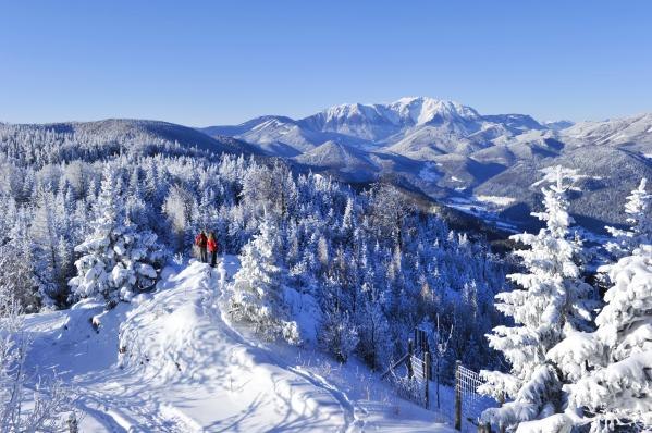 aussichtsturm-np-hohe-wand-6, © POV Robert Herbst