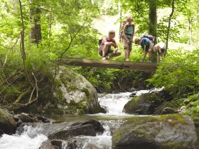 Hier gibt es viel zu entdecken, © Wiener Alpen in Niederösterreich