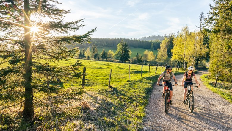 Radfahren in den Wiener Alpen , © Wiener Alpen/Fülöp