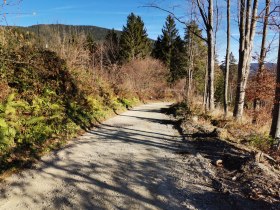 Auf dem Mautnerweg hinunter zur Landstrasse, © Wiener Alpen in Niederösterreich - Wechsel