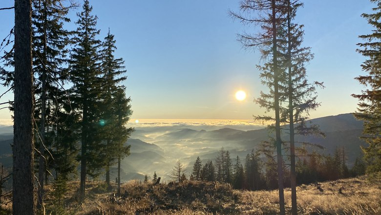 Blick vom Otter in das Wechselland, © Wiener Alpen