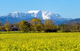 St. Egyden am Steinfeld mit Blick auf den Schneeberg, © Wiener Alpen, Franz Zwickl