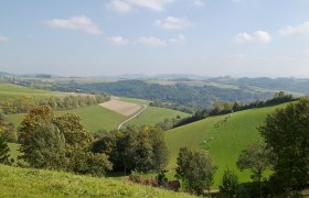 Walderlebnisweg Gschaidt, © Wiener Alpen in Niederösterreich - Bad Schönau